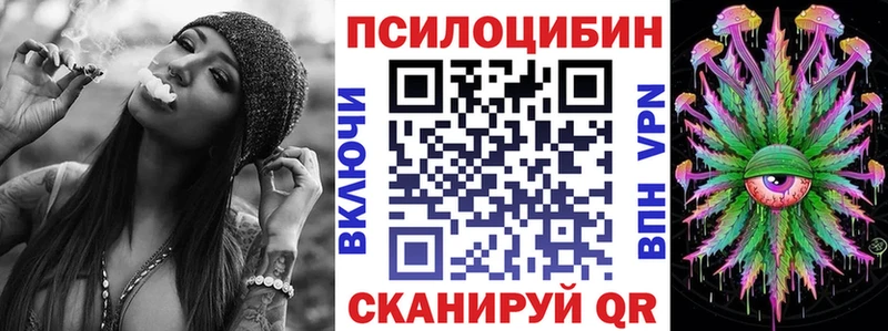 Псилоцибиновые грибы Psilocybe  Учалы 